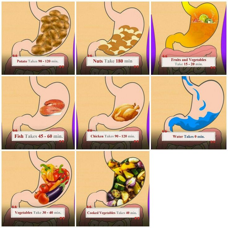 Food Digestion Time Chart: A Comprehensive Guide to Understanding Food Digestion