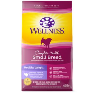 Small Breed Dog Food: Essential Nutrition for Your Tiny Companion