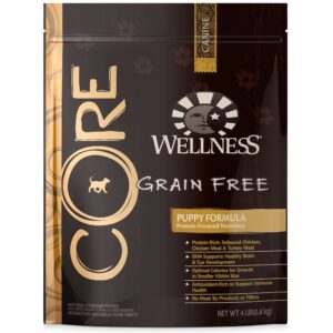 Wellness Core Dog Food: A Premium Choice for Your Canine Companion