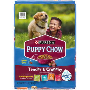Puppy Chow Dog Food: The Essential Guide for Growing Pups