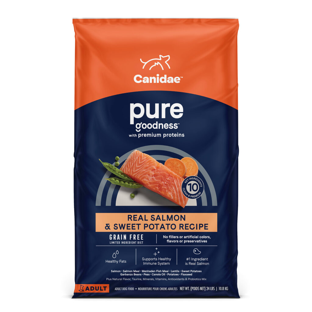 Salmon Dog Food: Unlocking the Nutritional Power for Your Canine Companion