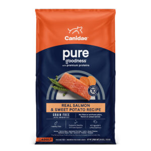 Salmon Dog Food: Unlocking the Nutritional Power for Your Canine Companion
