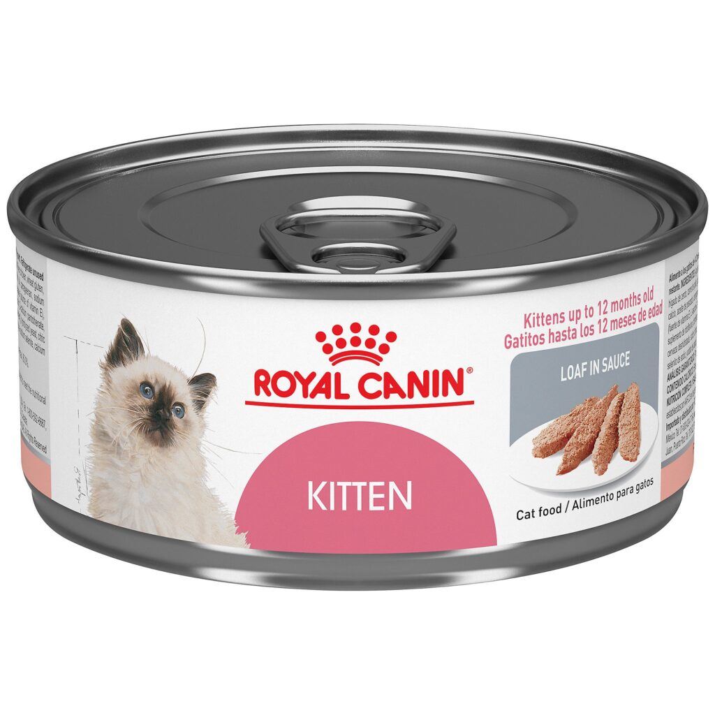 Royal Canin Kitten Food: Nourishing Your Feline Friend’s Growth
