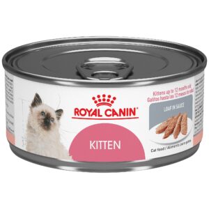 Royal Canin Kitten Food: Nourishing Your Feline Friend’s Growth