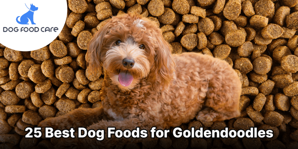 Best Food for Goldendoodles: A Comprehensive Guide to Nourishing Your Furry Friend