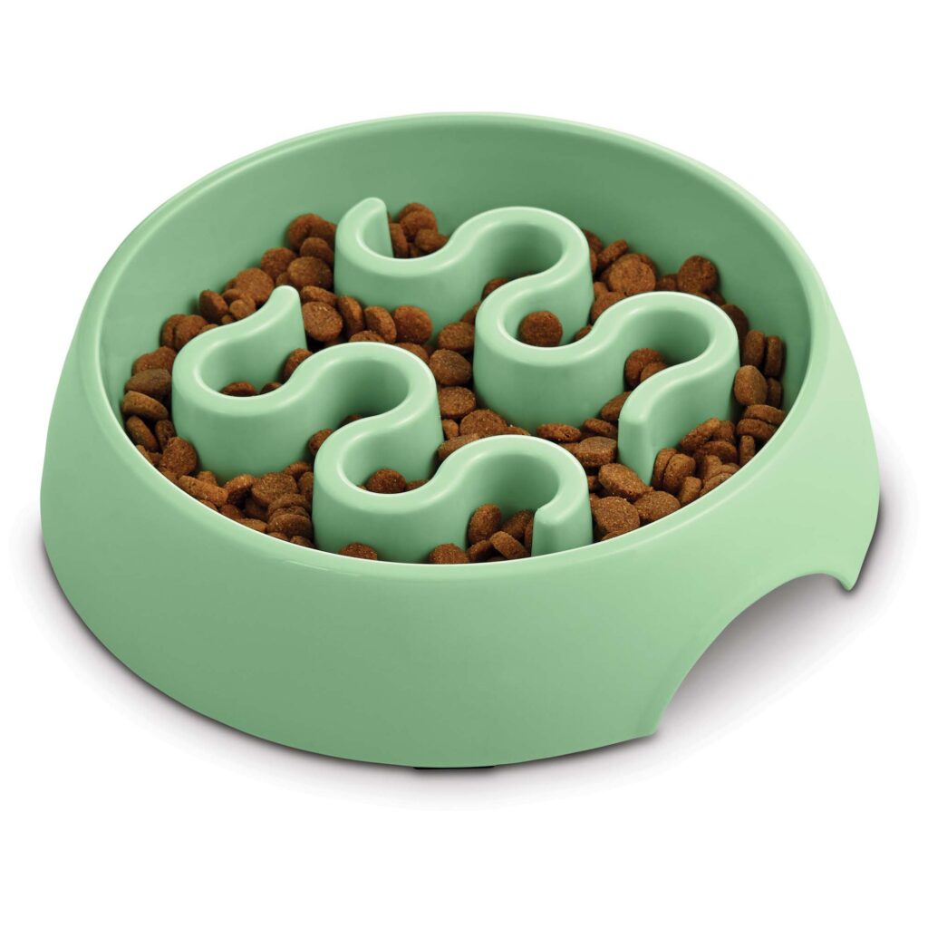 Dog Food Bowls: The Ultimate Guide for Happy and Healthy Pets