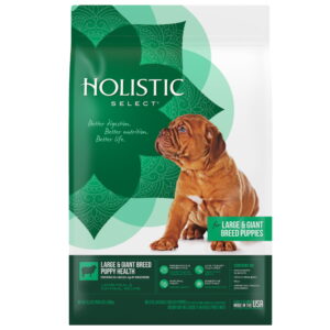 Holistic Dog Food: A Comprehensive Guide to Nourishing Your Canine Companion