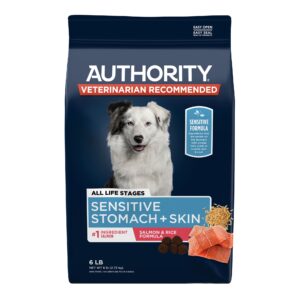 Sensitive Skin Dog Food: A Guide to Feeding Dogs with Skin Issues
