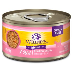 Wet Kitten Food: Essential Nutrition for Feline Health
