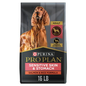 Canine Sensitive Stomach Food: A Comprehensive Guide for Dog Owners