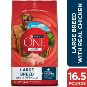 Large Breed Dog Food: A Guide to Feeding Your Gentle Giant
