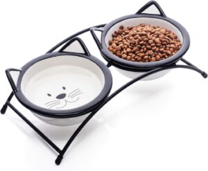 Elevated Dining for Felines: Exploring the Benefits of Raised Cat Food Bowls