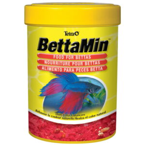 Betta Fish Food: Essential Guide for Nutrition and Feeding