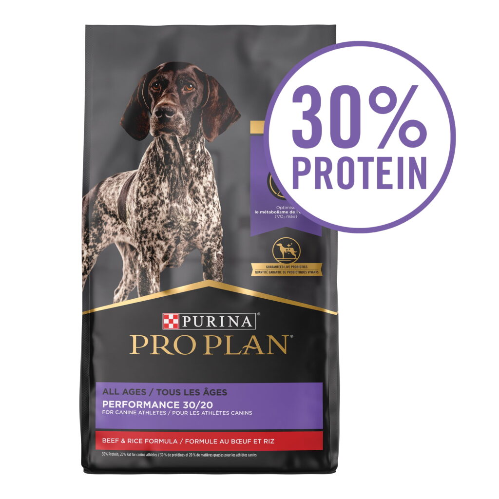 High Calorie Dog Food: A Comprehensive Guide to Nourishing Your Canine Companion