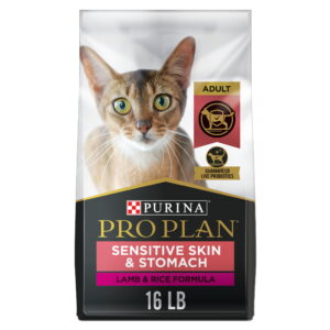 Sensitive Stomach Cat Food: A Guide to Choosing the Best Diet for Your Feline Friend