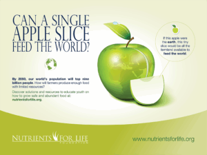 The Poster of Food Apple: A Visual Delight