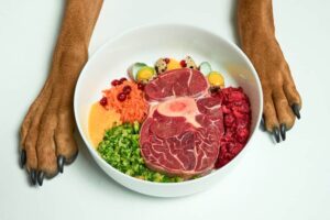 Organic Dog Food: The Natural Choice for Your Canine Companion