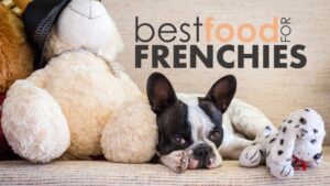 Best Food for French Bulldogs: A Comprehensive Guide to Nutrition and Health