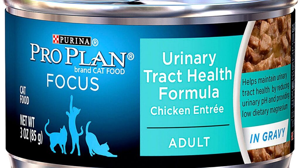 Low Phosphorus Cat Food: Essential Guide for Feline Health