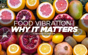 Vibration and Food: Unlocking Culinary Delights and Innovations