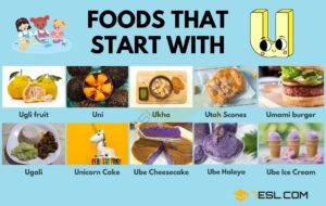 Food Start t: Navigating the Future of Food Innovation