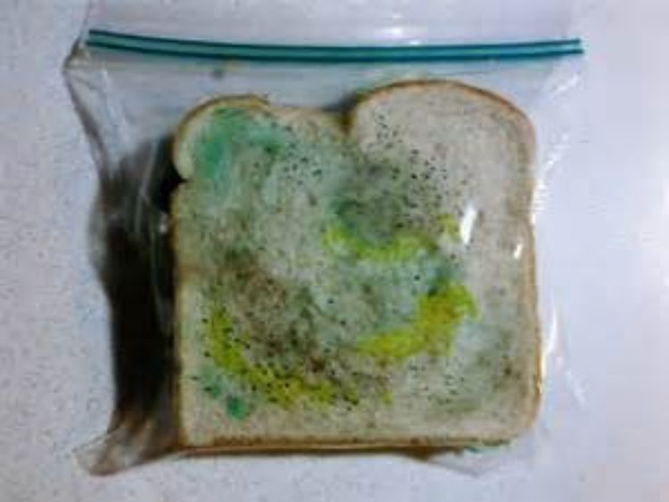 Delta Moldy Food: Understanding the Risks and Prevention Measures