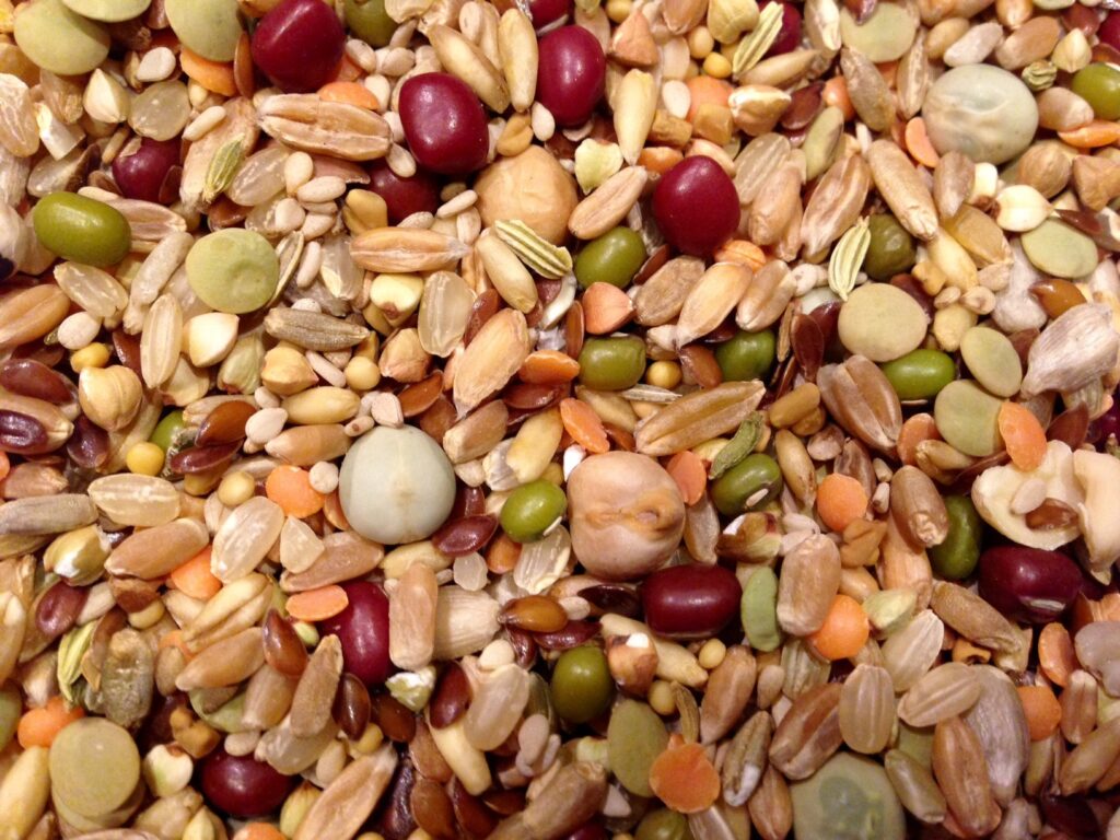 Parakeet Food: A Comprehensive Guide to Nourishing Your Feathered Friend
