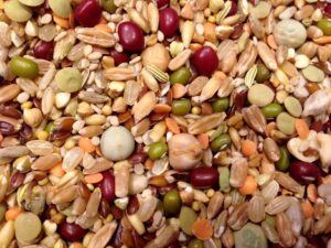 Parakeet Food: A Comprehensive Guide to Nourishing Your Feathered Friend