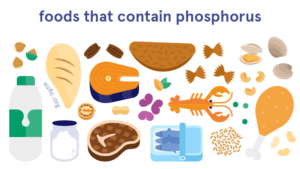 Phosphate Foods NHS: Understanding Your Intake for Optimal Health
