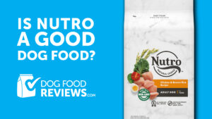 Nutro Dog Food Reviews: Unveiling the Truth Behind the Hype