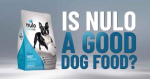 Nulo Dog Food Reviews: A Comprehensive Overview