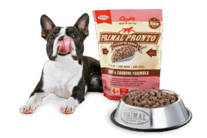 Primal Dog Food: A Holistic Approach to Canine Nutrition