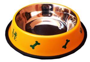 Dog Food Bowls: A Comprehensive Guide to Choosing and Using the Right One