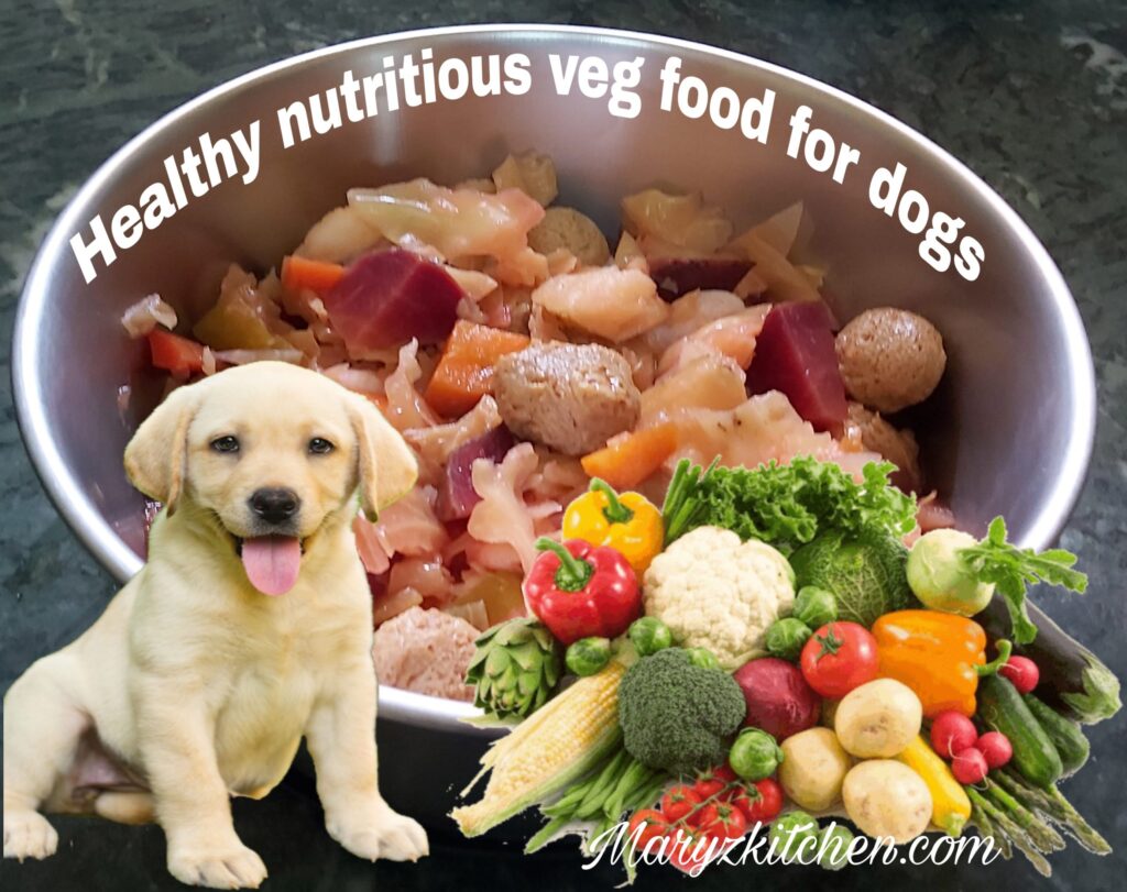 Vegetarian Dog Food: A Comprehensive Guide for Pet Owners