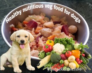 Vegetarian Dog Food: A Comprehensive Guide for Pet Owners