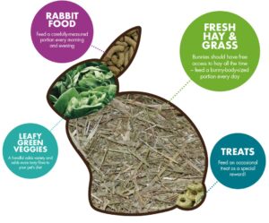 Bunny Food: Essential Nutrition for Your Hoppy Companion