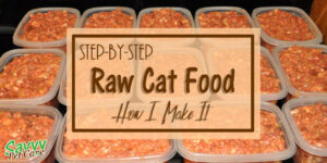 Raw Cat Food: A Comprehensive Guide to Nutrition, Benefits, and Risks