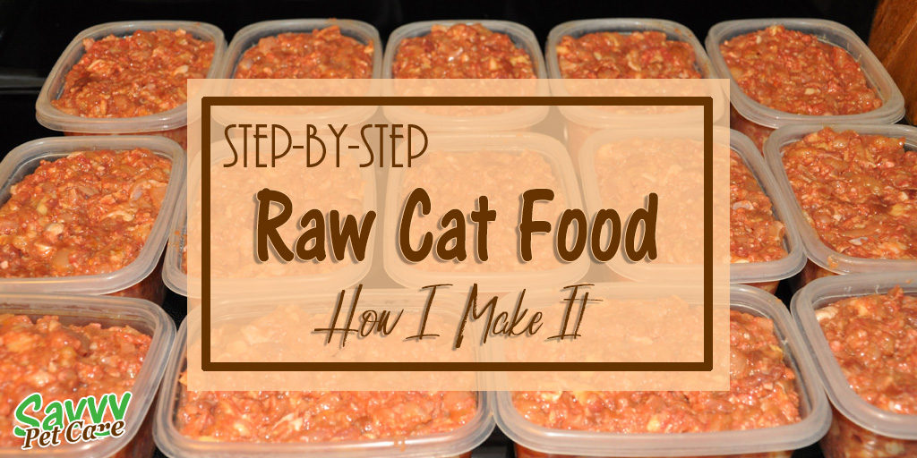 Raw Cat Food: A Comprehensive Guide to Nutrition, Benefits, and Risks