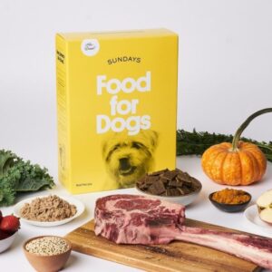 Sundays Food for Dogs: Enhancing Health and Bonding