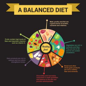 Proper Food: Nourishing Our Bodies, Enriching Our Lives