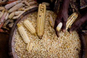 XPRIZE Food Security: Revolutionizing the Future of Food Systems