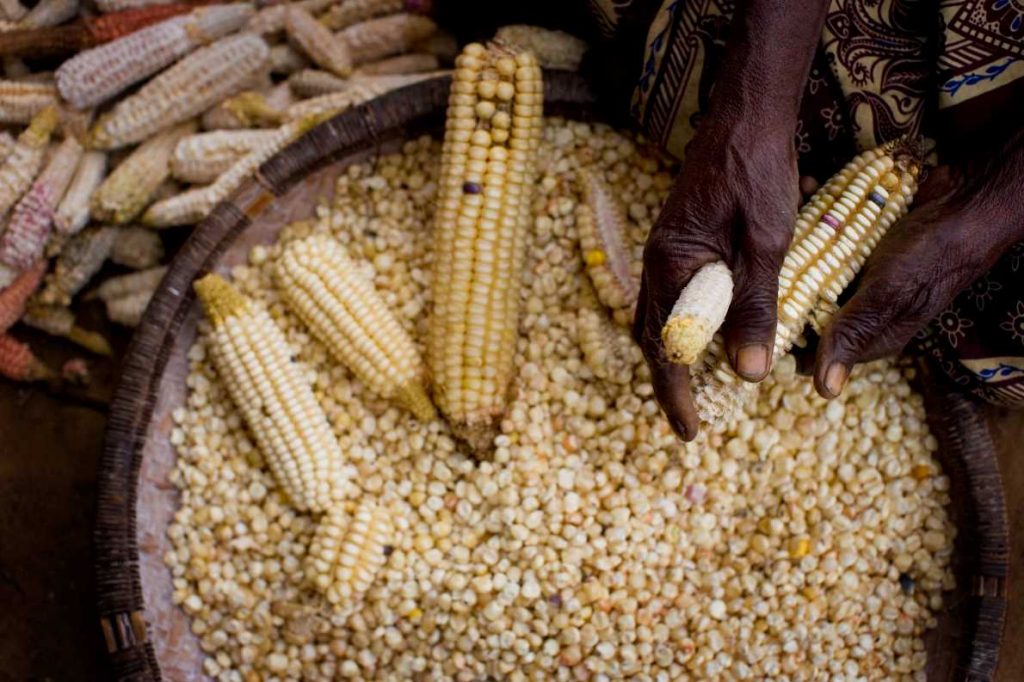 XPRIZE Food Security: Revolutionizing the Future of Food Systems