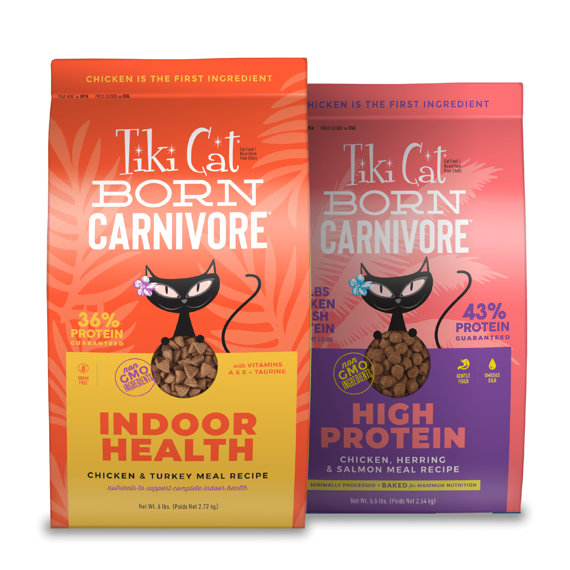 Tiki cat dry food