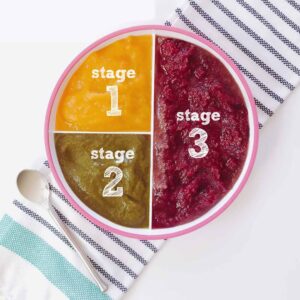 Stage 3 Baby Food: A Comprehensive Guide for Transitioning Toddlers to Solid Foods