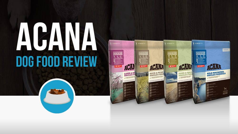 Unveiling the Truth: Acana Dog Food Reviews Dissected