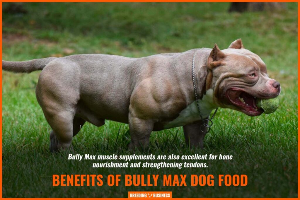 Bully Max Puppy Food: Fueling Growth and Well-being for Your Canine Companion