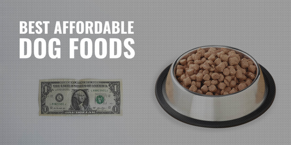 Best Affordable Dog Food: A Nutritious and Budget-Friendly Guide