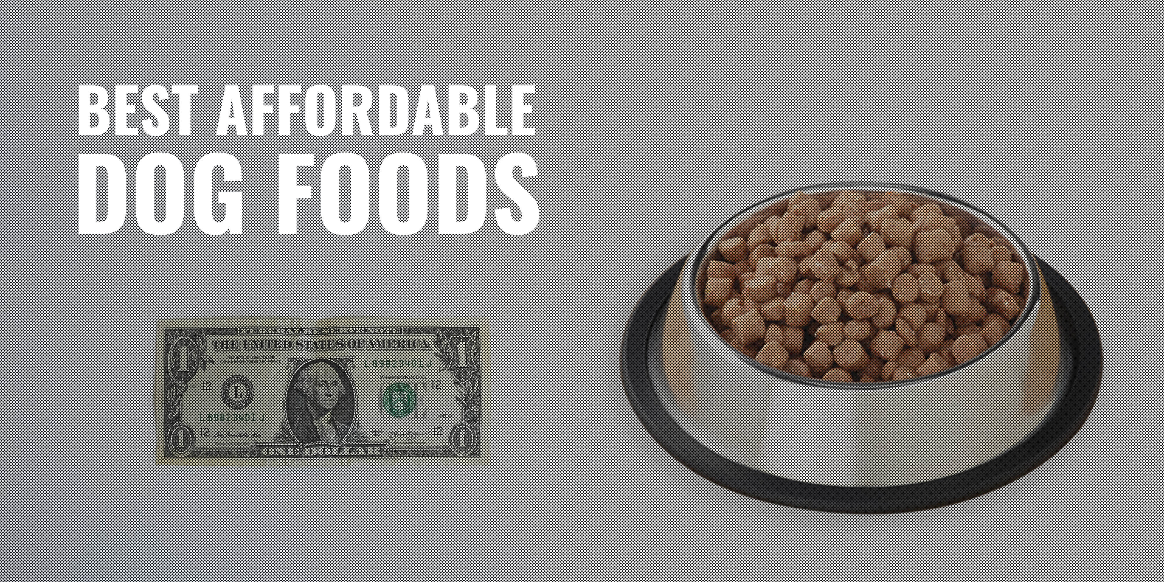 Best affordable dog food