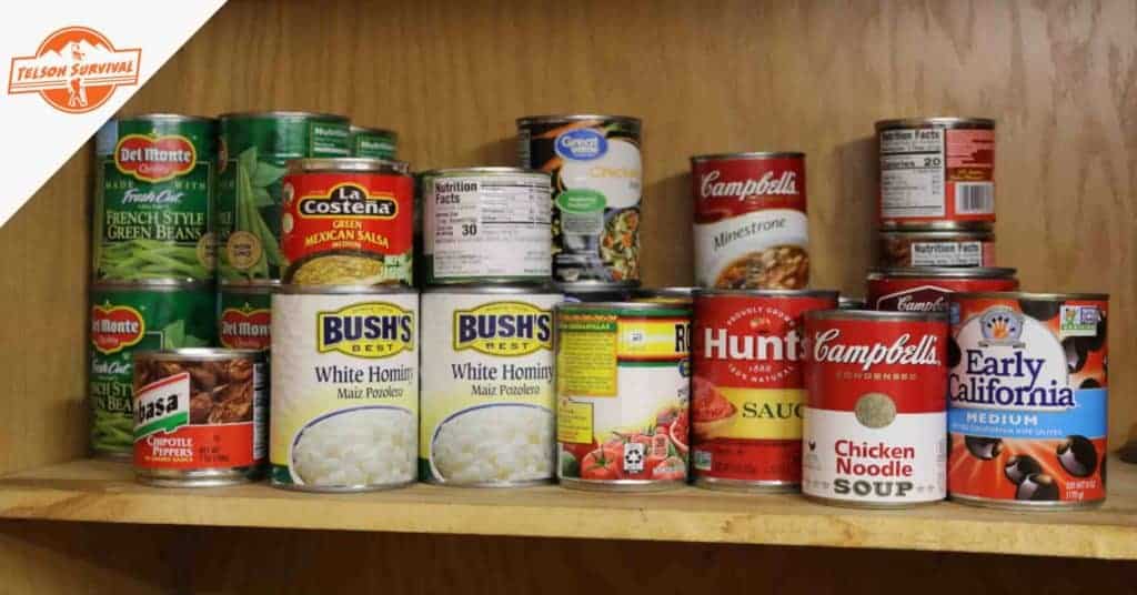 Survival food