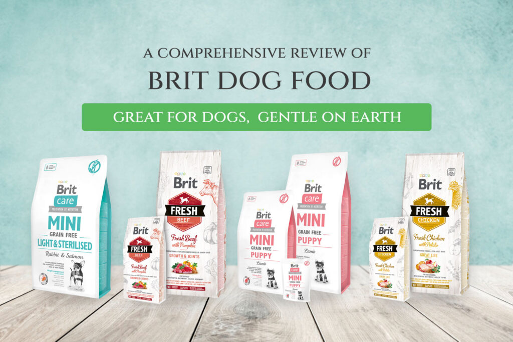 British Dog Food: A Comprehensive Guide to Nourishing Your Canine Companion